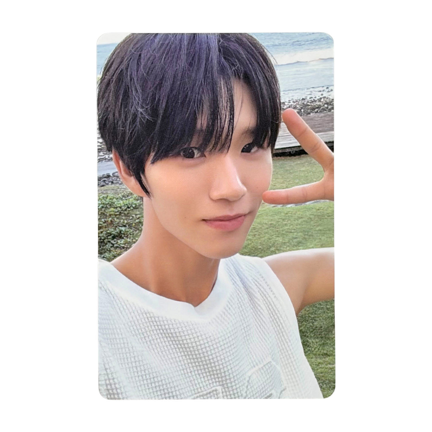 NCT WISH Official Find Your Color Trading Photocard Surf ver. - JAEHEE 01