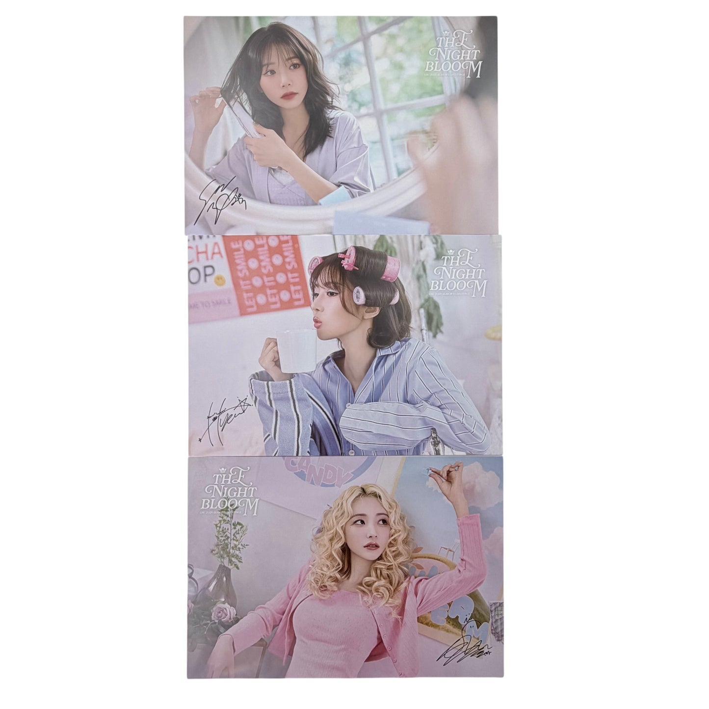 UAU 2026 Season's Greeting THE NIGHT BLOOM DREAMCATCHER Mini POSTER Set